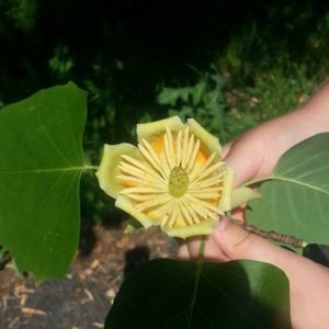 Meet your Posher, Barbara